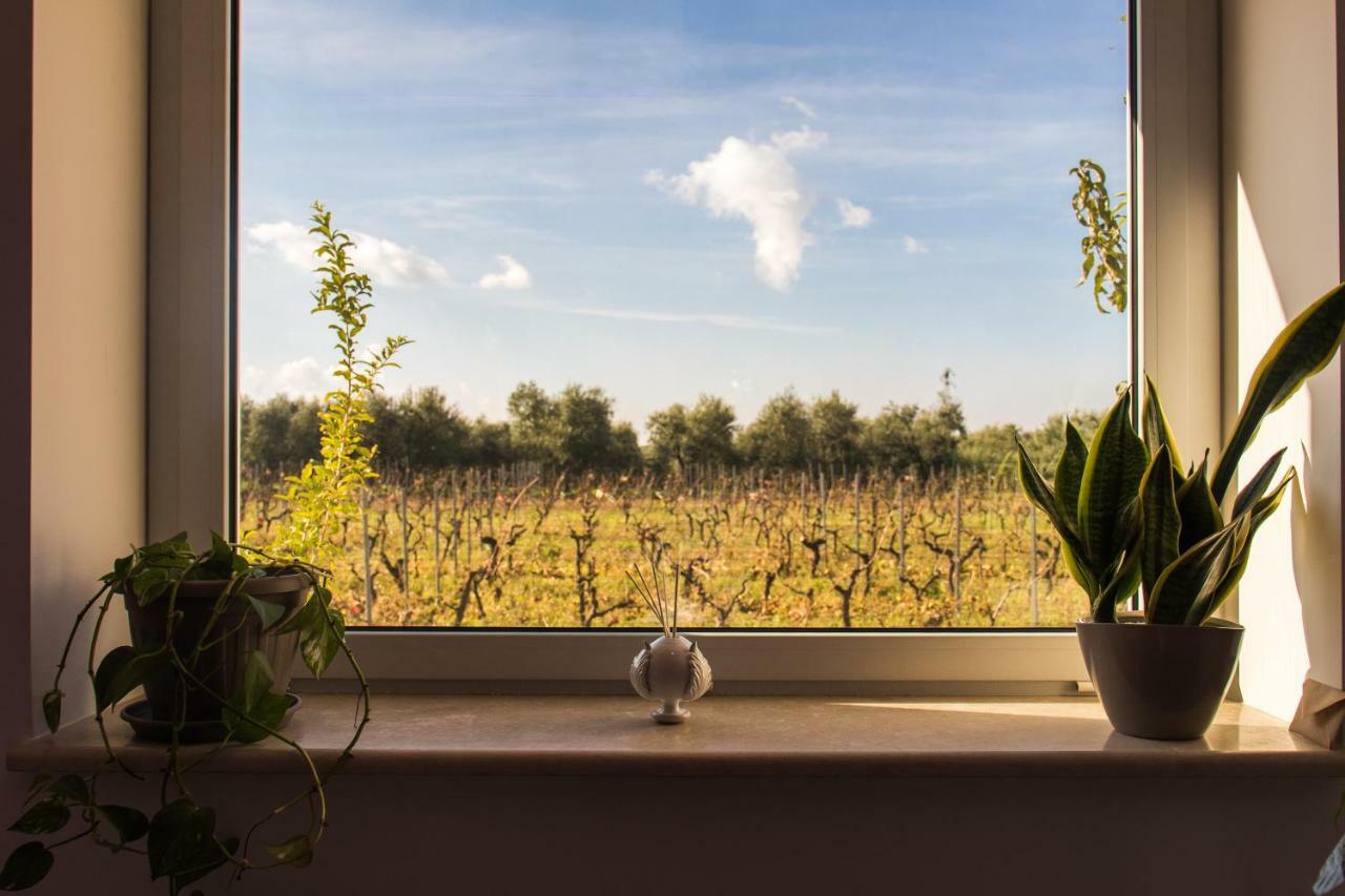 Tenuta Vigna Del Noce Корато Экстерьер фото